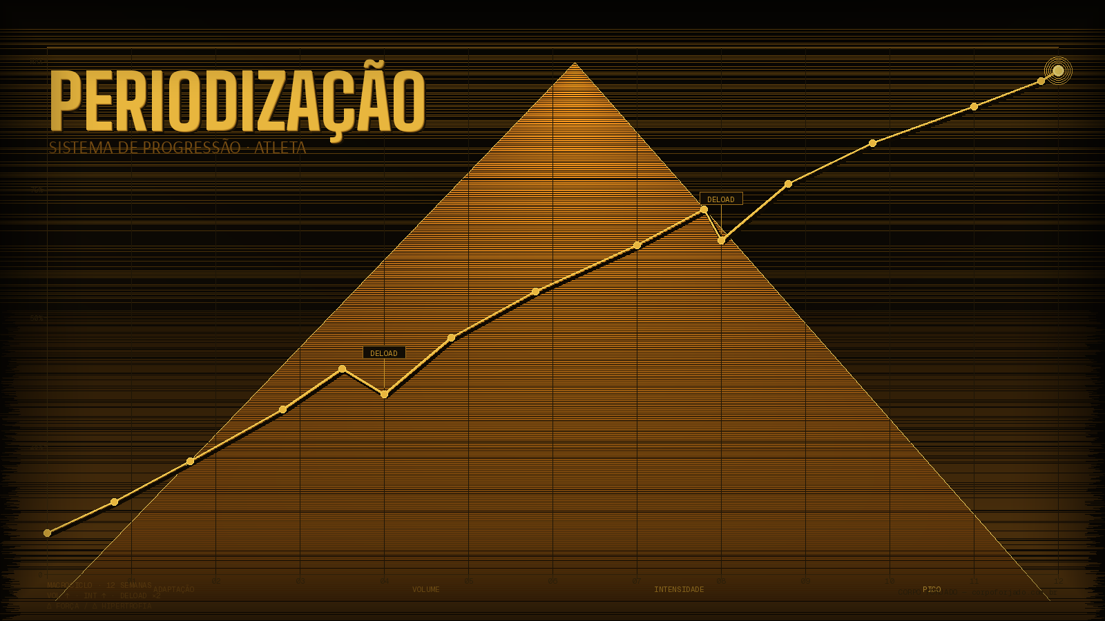 Periodização de Treino para Iniciantes: Como Evoluir Sem Platô